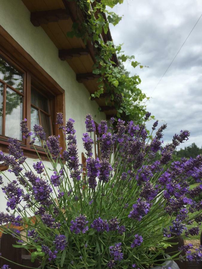 Bed and Breakfast Dom Rodziny Sojkow Бялка-Татшаньска Экстерьер фото